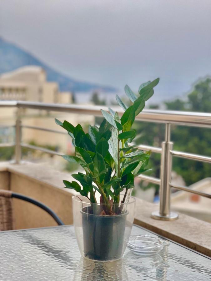 Apartments Boreta Becici Budva Luaran gambar