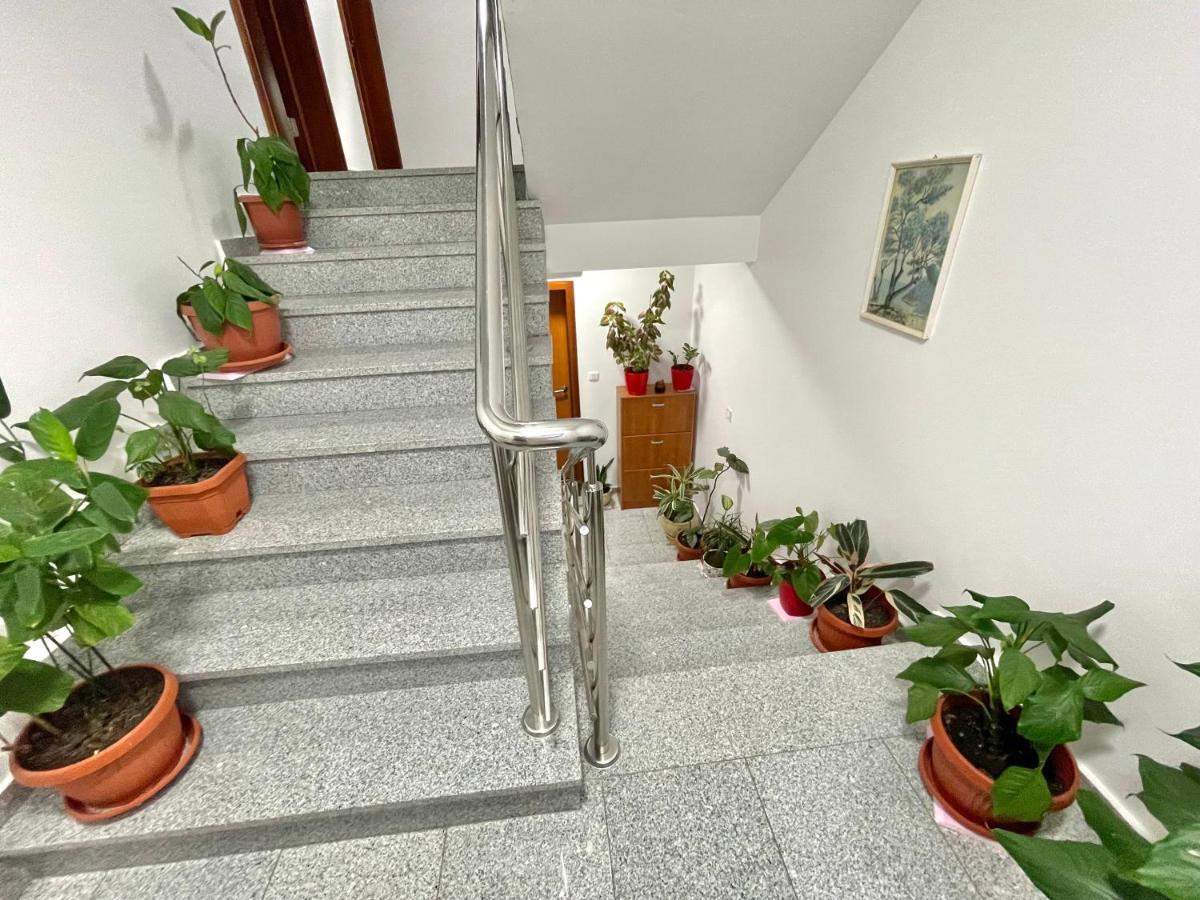 Apartments Boreta Becici Budva Luaran gambar