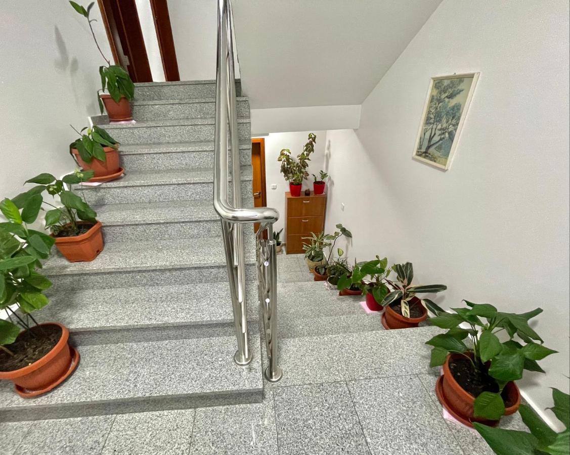 Apartments Boreta Becici Budva Luaran gambar